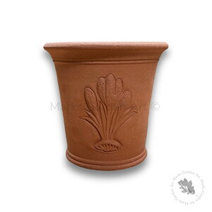 ypWhichford Crocus Pot EBb`tH[h NbJX|bgz