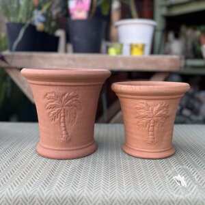 yp Whichford Tresco Pot EBb`tH[h gXR |bgz