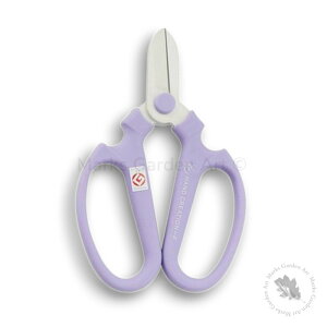 yǐՉ\[֔zy⌹@nhNG[V@ԃoT~z