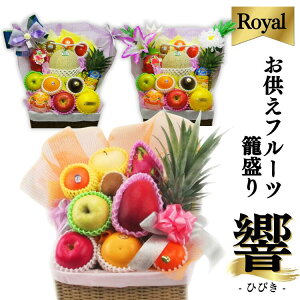 t[cZbg wx - Ђт - lC Zbg XC[cC ܂AWg ʕ t[c 荇킹 蕨  Ԃ 䈥A  j Ԃ a j j  