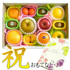 ĂȂL j t[cZbg Mtg v[g t[c lߍ킹 a av[g j oYj j j i 蕨 Zbg lC XC[c  A ii