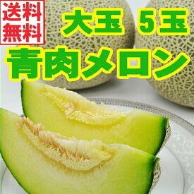 楽天市場 メロン 茨城 お中元の通販