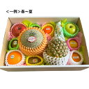 彩りフルーツセットL (メロン入)