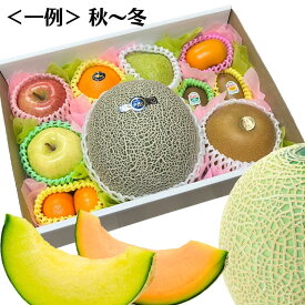 彩りフルーツセットL (メロン入)
