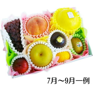 彩りフルーツセット S