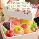 彩りフルーツセット S ビタミン たっぷり 美容と健康に
