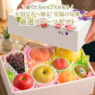 彩りフルーツセット S