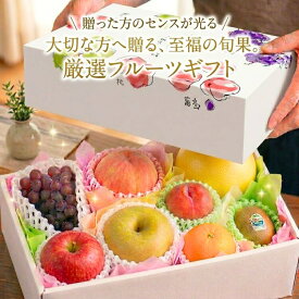 彩りフルーツセット S
