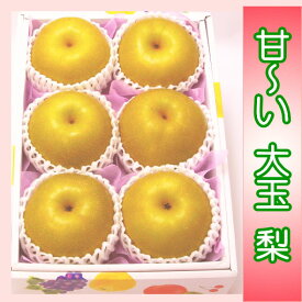 特選 和梨セット(5〜6玉) 化粧箱入 産地「茨城」より発送！