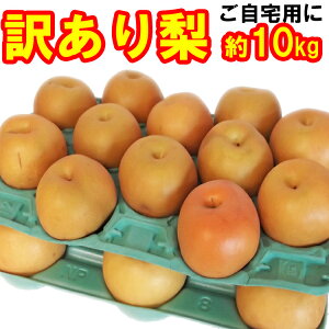 y󂠂z 12`40 (10kg) [] ͏GilA݂݂W[V[ȗI{Ynuv蔭IY ƒpɂǂB[K] [L] [Â] [V] [ɂ] [