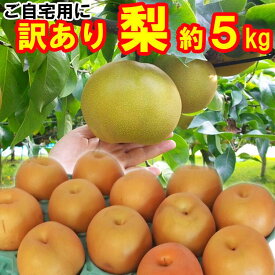 【訳あり】梨 7〜16玉 (約5kg)【送料無料】日本一大産地「茨城」より発送！産直 ご家庭用にどうぞ。