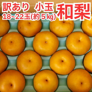 y󂠂z 18`22 (5kg) ɏʃTCY yz{Ynuv蔭IƒpɂǂB