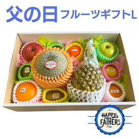 遅れてごめんね【父の日限定ギフト】＼今年の販売総数400件突破！／彩りおまかせフルーツセットL (メロン入) 数量限定