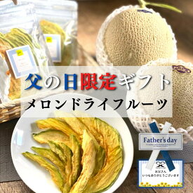 【父の日限定ギフト】数量限定 国産 メロンドライフルーツ 無添加 砂糖不使用 送料無料 無着色 無香料 酸化防止剤不使用 無漂白 グルメ 食べ物 メール便 ドライフルーツ メロン プチギフト プレゼント ギフト 父の日ギフト 1,000円ポッキリ 果物
