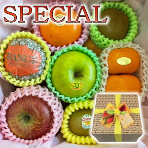 IWi{bNX yXyVz (NVbNJ[)