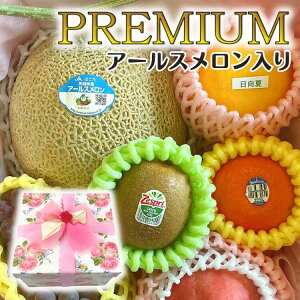 IWi{bNX v~A yv~AzA[X ([Y)