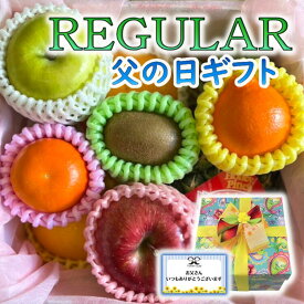 【父の日限定ギフト】 数量限定 オリジナルボックス【レギュラー】 ペイズリー (メロンなし) 贈り物 売れ筋 プレゼント お祝い お父さん 健康 ヘルシー 父 義父 化粧箱 ビタミン スイーツ 詰め合わせ 贈答品 人気