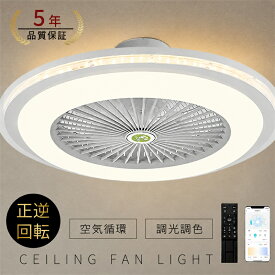 【5年保証】シーリングファンライト 調光調色 LED シーリングファン 6畳 8畳 10畳 12畳 シーリングライト 薄型 おしゃれ 北欧 ファン付き照明 風量調節 静音 シーリングライト リモコン付き DCモーター 扇風機 天井照明 照明器具 常夜灯 電気
