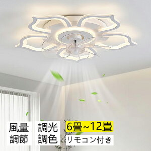 y5Nۏ؁z ygKvz V[Ot@Cg k dC ^ F V[OCg  R V[Ot@ rO LED F Ɩ led dc[^[ t@ 