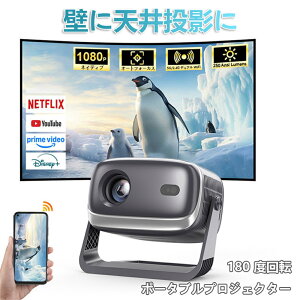ylCE^V䓊ezvWFN^[ ƒp V䓊e y 1080P { ^ 4KΉ I[gtH[JXY 5G WiFi6 \ 掿 É ` Android TV Bluetooth5.0 z[VA^[ q