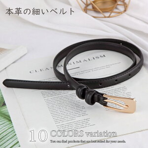 y2 {ڂ͂킸 1000 ~zvXNGAOxg xg U[ Vv Y fB[X    {v v obN XNGAobN  {vxg Mtg