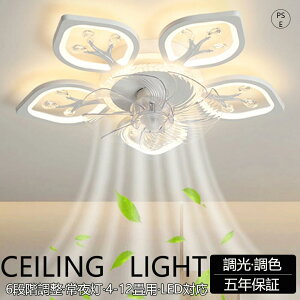 y2025ŐV^zV[Ot@ V[Ot@Cg t@t LED V[OCg Ebh ^ 8 10 12 Px VƖ Ɩ  F 铔 @\ ^C}[ ȃGl 