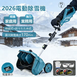 _2025ŐV^ƒ&Ɩp^d@ @ [d R[hX Ⴉ XRbv ᕝ33cm 21V obe[ dXRbv Vx ႩXRbv @Vx y ֗ Ⴉp 