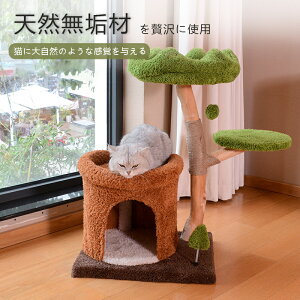 Lbg^[ ؐ 厩R   ɑx ZL Lp xbh ܂Ƃ ȃXx[X VjA L^[ ^L ^  FD ܂Ƃ|[ CeA  ؓo ^