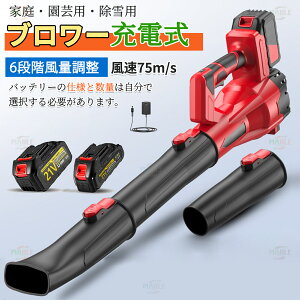 u[   [d uA[ 6iKʒ y 啗 75m/s R[hXu[ ΂ƏWo12 s18V obe[Ή Wo ԗoCN̊ |u[ O 