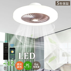 [5Nۏ]V[Ot@ V[Ot@Cg led F t@tƖ 10 8 12 46/52cm ^ ߓd Ɩ ȃGl V[OCg  k y ʒ É R 