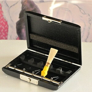 t@Sbg [hP[X 5{p XCh ()