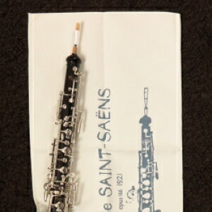 I[{G̒̃}CNt@Co[NX I[{GCXg[V AC{[ () ̓A[gI