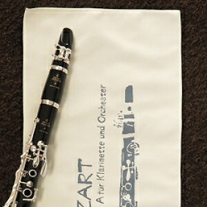 Nlbg̒̃}CNt@Co[NX NlbgCXg[V AC{[ () ̓A[gI