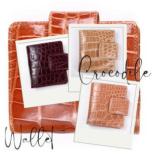 19800~I݌ɏI܂ z NR_C VCjOH ~jz RpNg EHbg Y fB[X e {v jv ꂢ l  [ i 2