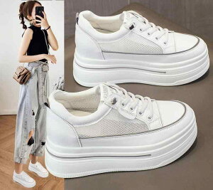 Xj[J[  bV I  V[Y ʋC  t Xj[J[ ؍n 킢 ꂢ  8cm zCg R[f  O[ |CgJ[ n oCJ[ _bh nC