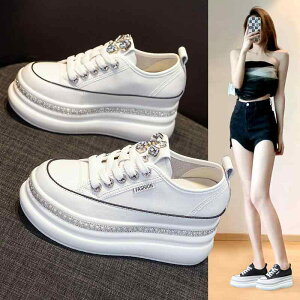 Xj[J[  LL rW[ CXg[ fB[X ꂢ l I  ؍n V[Y   8cm q[ ؂₩ NX^ ݊ CX^ f  LC