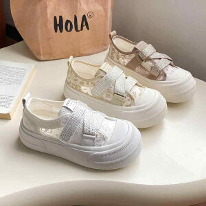 Xb| Xj[J[ LL CXg[ fB[X ꂢ [X  ܂ I  ؍n V[Y  x[W F uE  NX^ CX^ f 