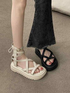 OfBG[^[T_  JbgIt  u[c T_ V[Y fB[X  ubN  zCg ҂ݏグ Ȃꊴ ؍n PUU[ vC nCJbg Xj[J[ 