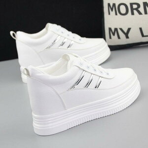  Xj[J[ 8cm EFbW\[ ^C  ꂢ ؍n fB[X Xj[J[ Bq[ nCq[ gAbv r zCg CfUC F Vo[  ubN