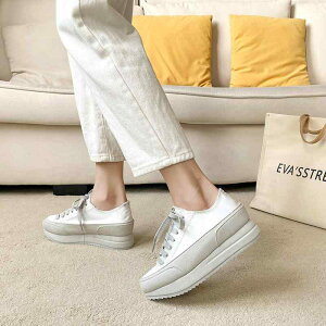 Xj[J[  {v XG[h ꂢ ^C ؍n fB[X WF tF jAX ݃J[    O[ sN Vo[ O[ oCJ[ vbgtH[V[Y 