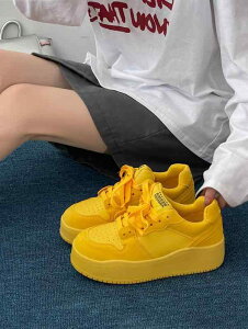 Xj[J[ F CG[ sN rrbhJ[  Xj[J[ ؍n ؂₩ |bv I ^C fB[X n g[ PF ڗ I` q 邢 C ĐF 