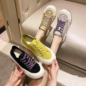 Xj[J[ fB[X LoX V[Y WF  z ^C  ؍n  p[v  ubN x[W n I i` t C EhgD [Jbg oCJ