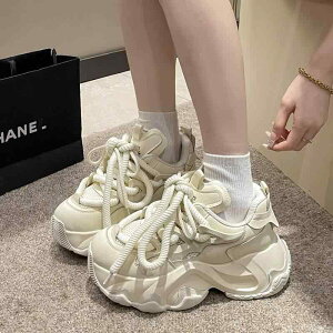 _bhXj[J[  5cm   ؍n Xj[J[  nCeNXj[J[ zCg ubN RfUC bV ۂĂ 킢  ANZg I CpNg 