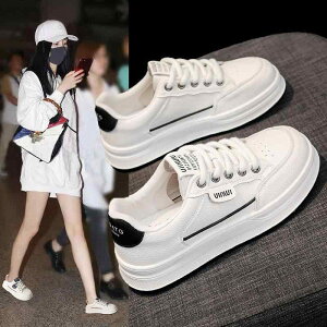 Xj[J[ ^C fB[X  [Jbg    ^OfUC TChC ꂢ 킢   x[VbN Vv i` JWA ₷ tďH U