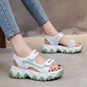 2F T_  fB[X X|T JWA 킢  oCJ[ V[Y C X|[cT_ ₷ _uxg }WbNe[v X|[eB[ r Vv ʋC