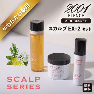 y[J[XzGX2001 XJvEX-2Zbgq炩pr