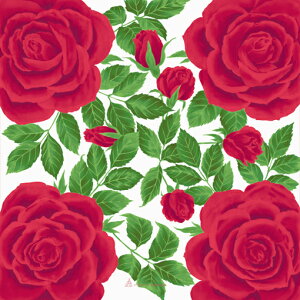 y[֑ΉzyȏC~zMISATO ASAYAMA@@(50cm)o@bhC~Eʂ3ȏ܂Ƃߔ5%OFF!