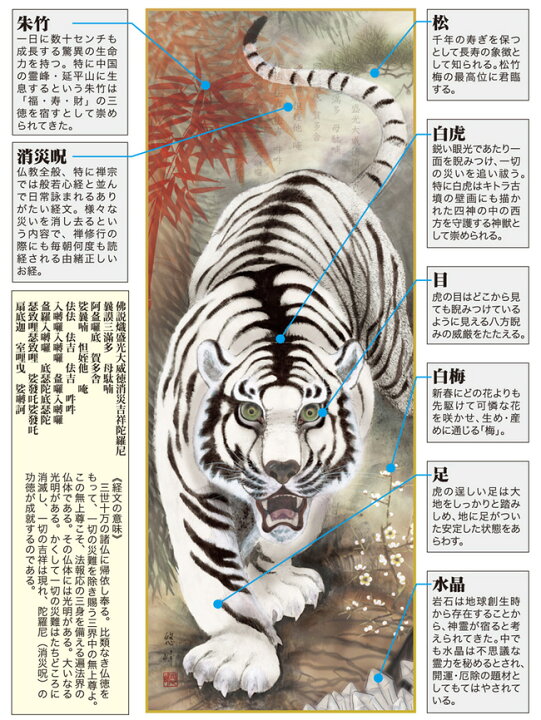楽天市場】掛け軸／掛軸／かけじく【厄除】消災白虎朱竹之図（加納 悠 