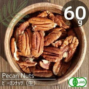 L@JASFI[KjbNs[Jibciji60gj_͔|i`YS