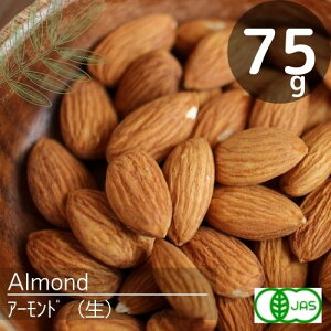 L@JASFI[KjbN_͔|A[h@i`i75gjr^~EA`G[WO􌒍NYSy[ցz